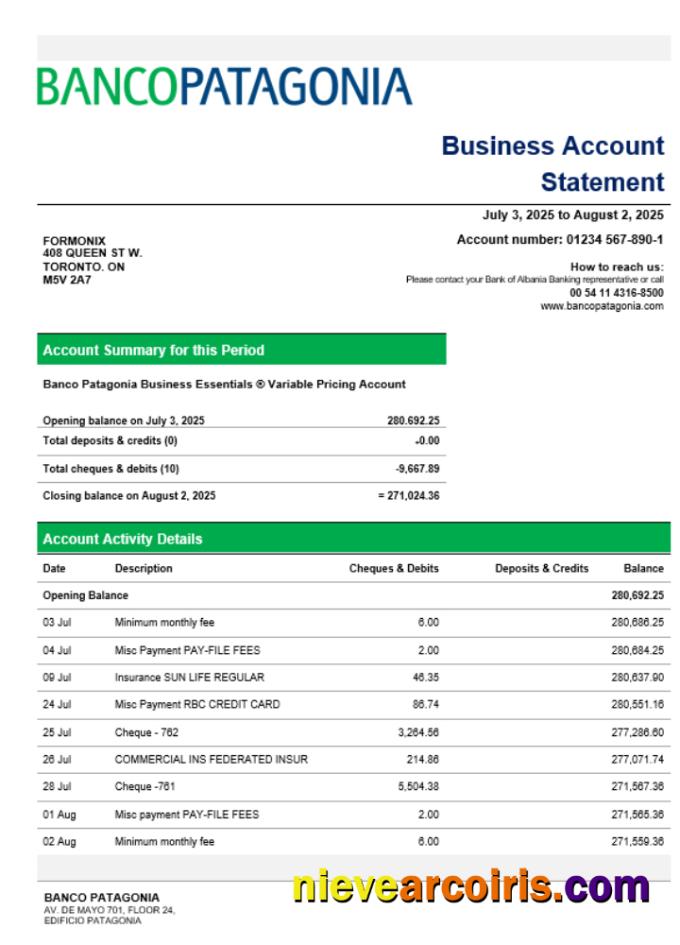 Banco Patagonia business bank statement